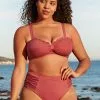Cupshe Chelsea Mesh Plus Size Bikini